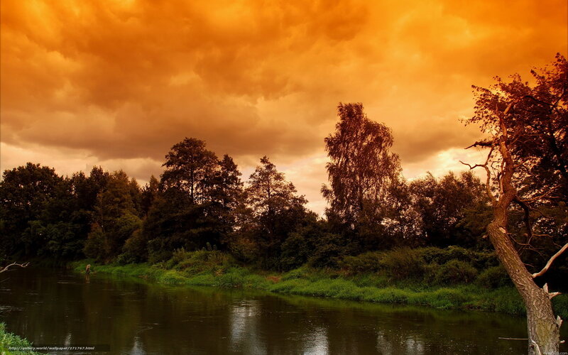 River with Trees at Sunset