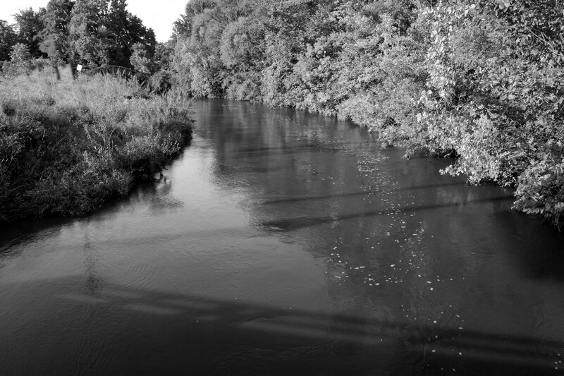 River with Trees — Black