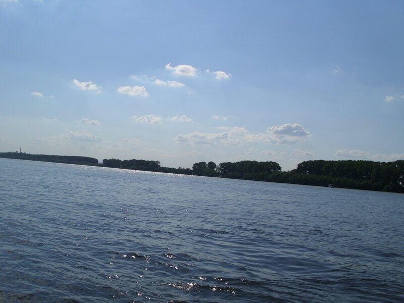 River with Trees — Blue, Calm