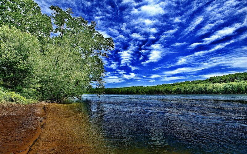 River with Trees — Blue, Dramatic, Afternoon