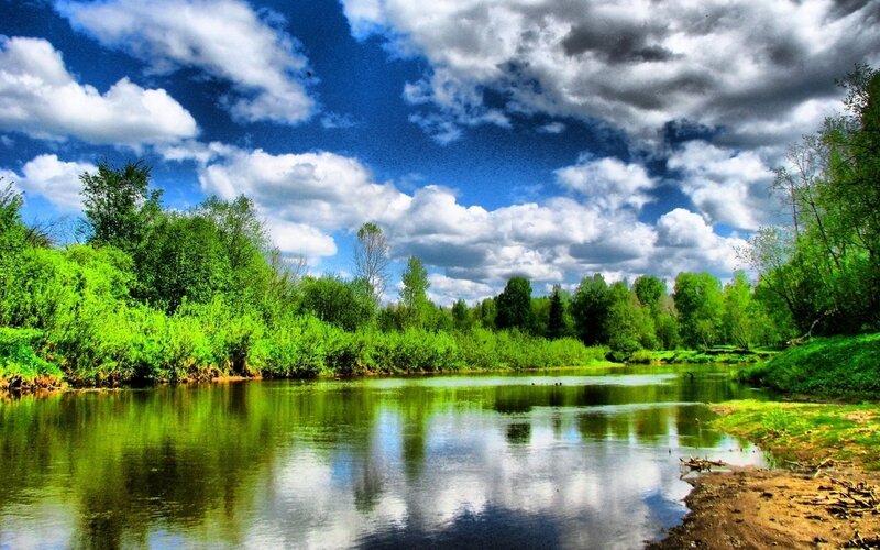 River with Trees — Blue, Dramatic