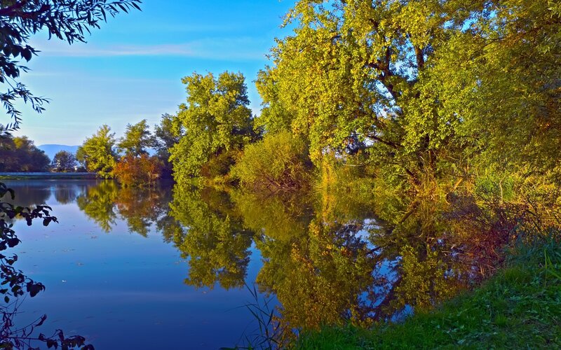 River with Trees — Blue, Serene, Afternoon, Photograph, Reflection