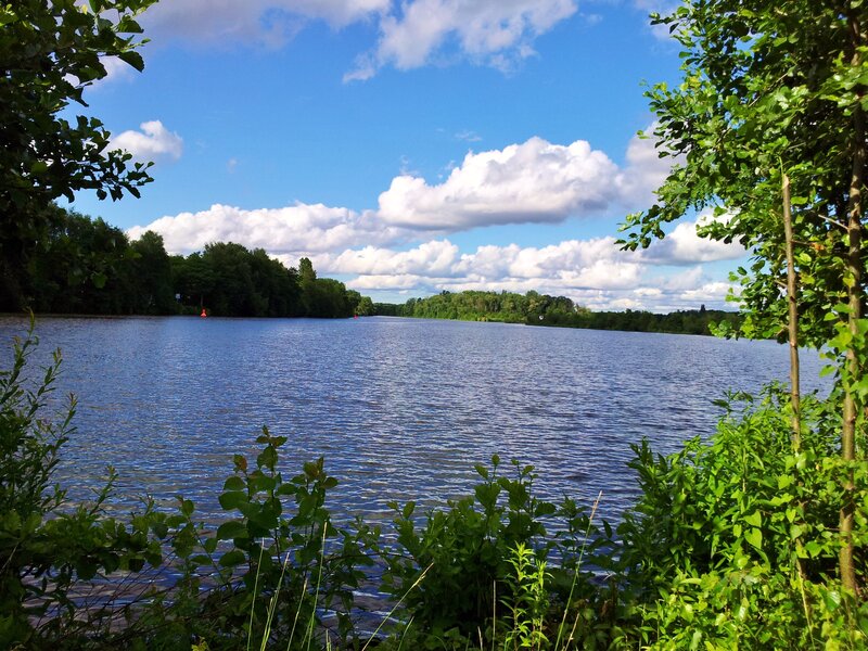 River with Trees — Blue, Serene, Afternoon, Photograph, Sky, Clouds