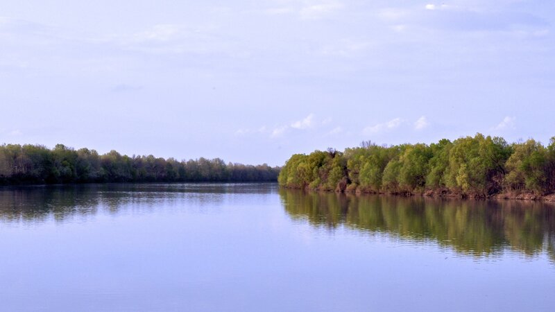 River with Trees — Blue, Serene, Afternoon, Photograph