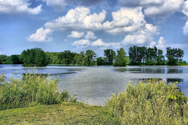 River with Trees — Blue, Serene, Afternoon