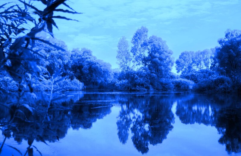River with Trees — Blue, Serene, Photograph