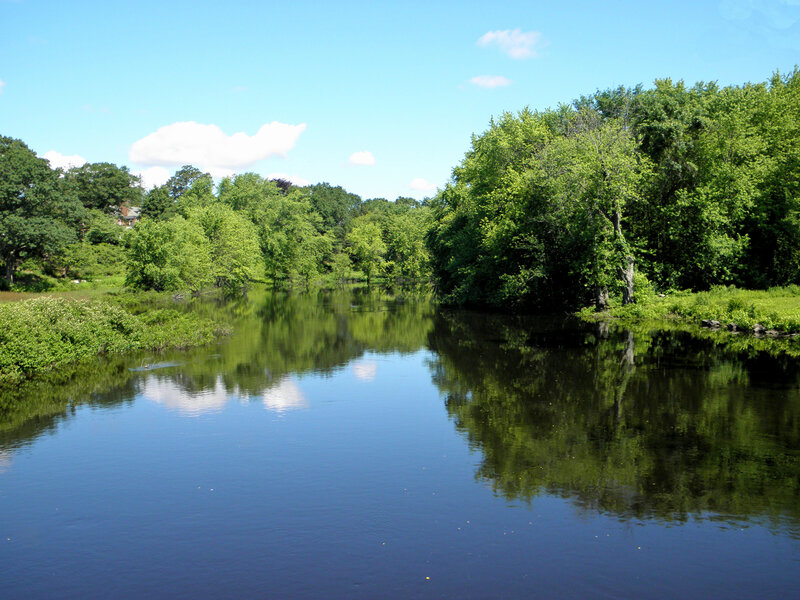 River with Trees — Blue, Serene