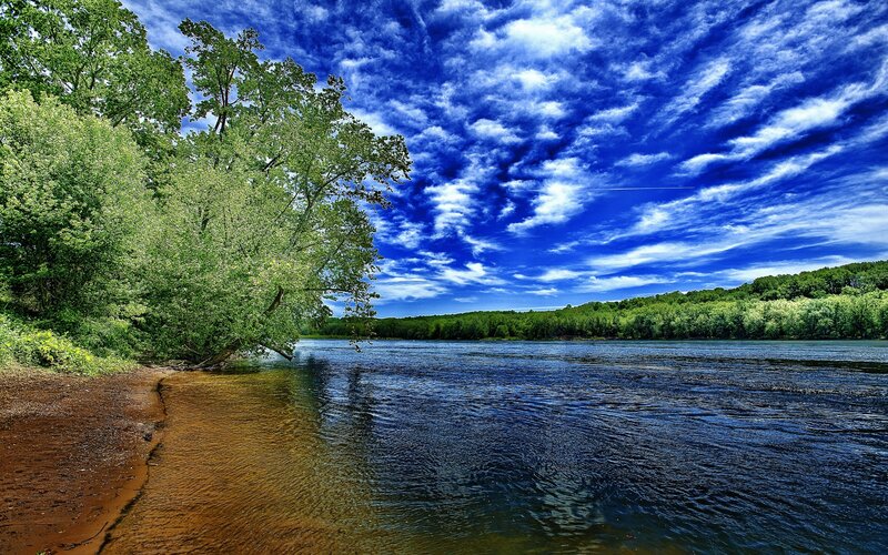 River with Trees — Blue