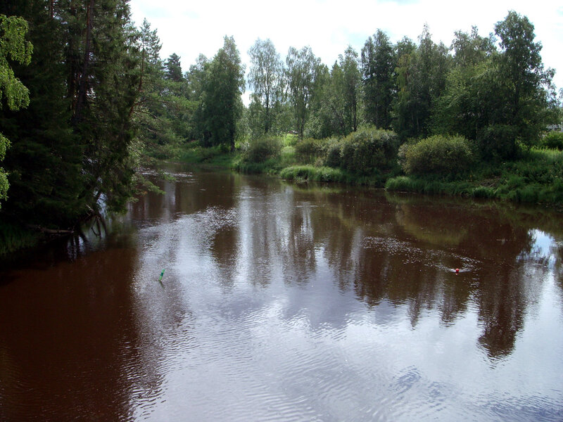 River with Trees — Brown