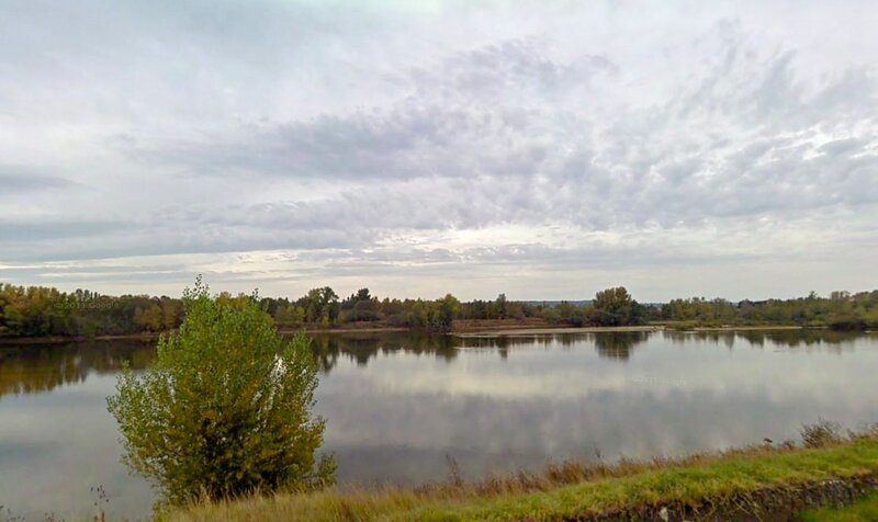 River with Trees — Green, Calm, Autumn