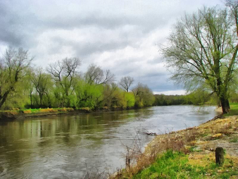 River with Trees — Green, Calm