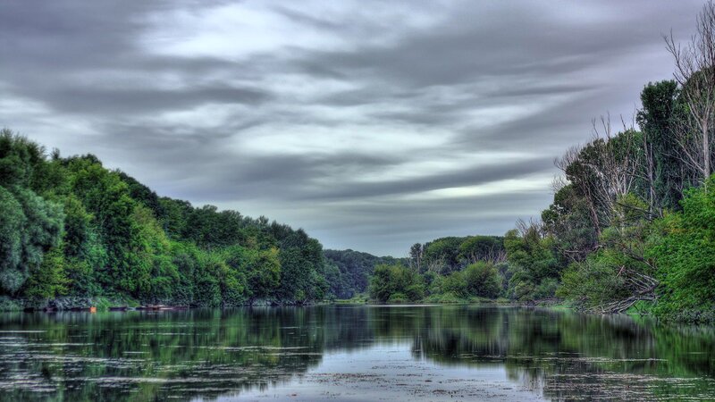 River with Trees — Green, Dramatic, Photograph