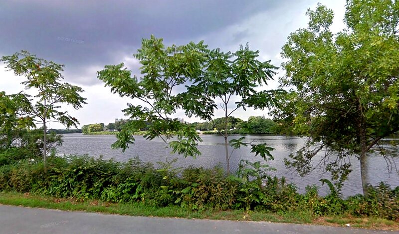 River with Trees — Green, Overcast