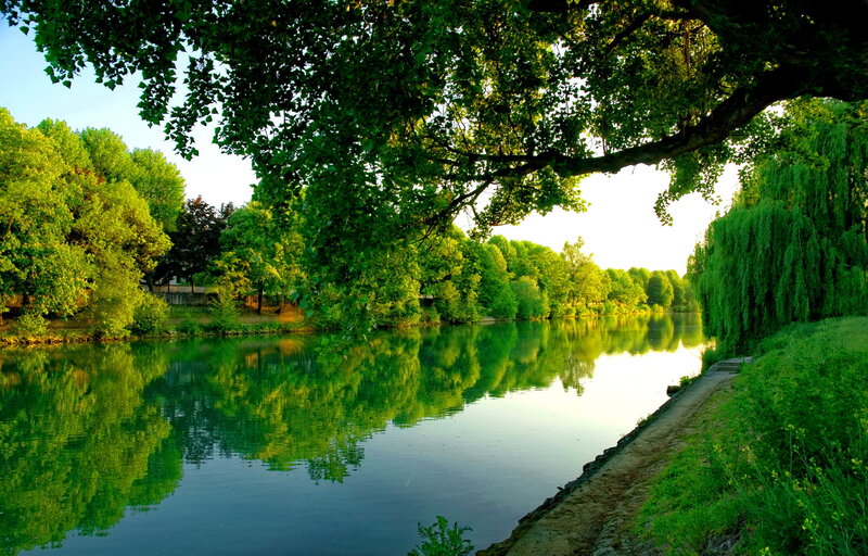 River with Trees — Green, Serene, Afternoon, Photograph, Path
