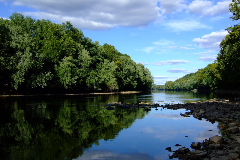 River with Trees — Green, Serene, Afternoon, Photograph, Rocks