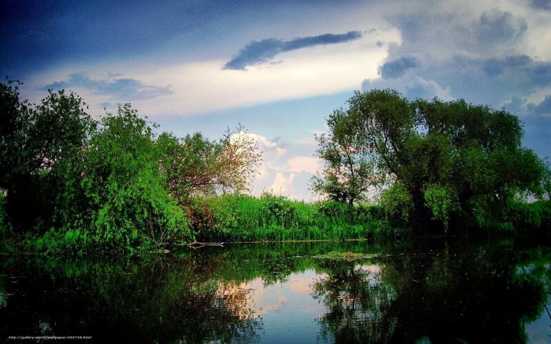 River with Trees — Green, Serene, Afternoon, Photograph, Sky, Clouds