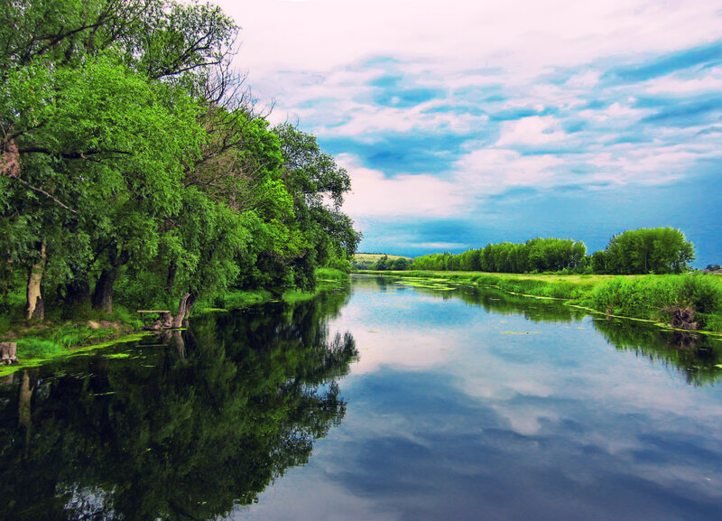 River with Trees — Green, Serene, Afternoon, Photograph, Sky, Reflection