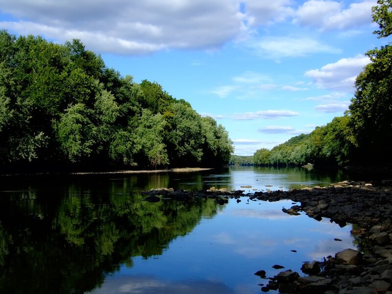 River with Trees — Green, Serene, Afternoon, Photograph, Sky