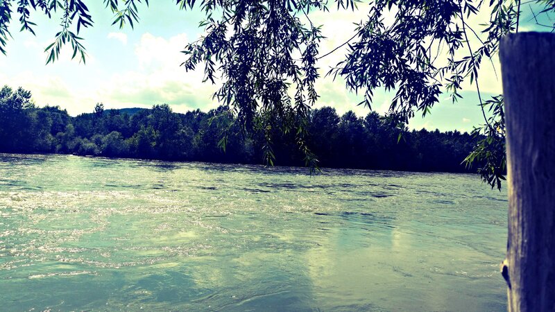 River with Trees — Green, Serene, Afternoon, Photograph, Sky, Wooden Post