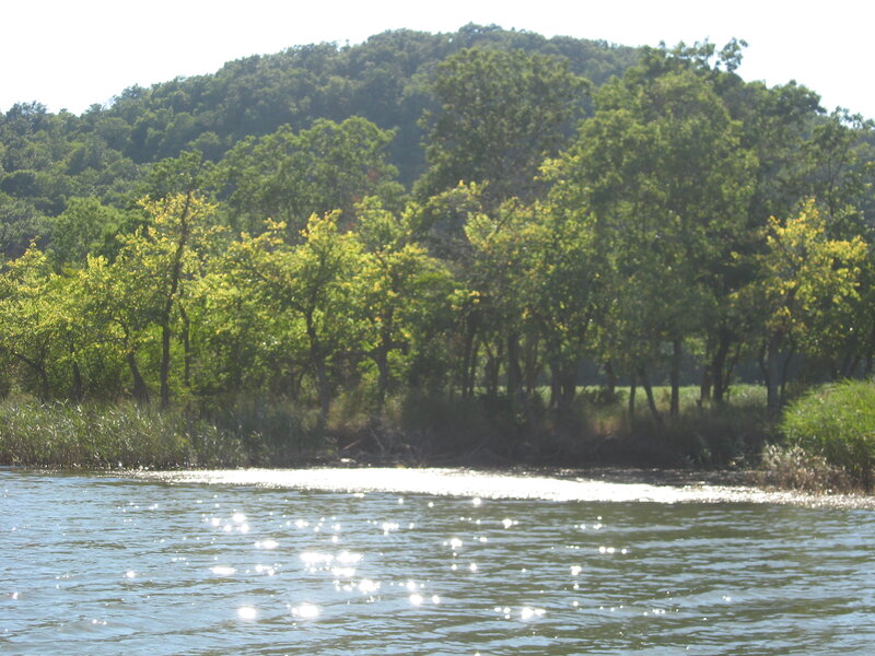 River with Trees — Green, Serene, Afternoon, Photograph