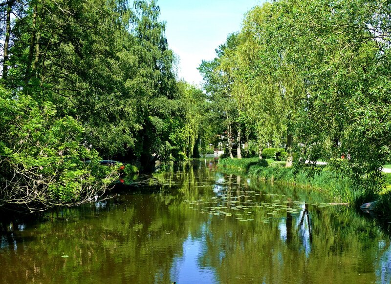 River with Trees — Green, Serene, Afternoon, Photograph, Water, Sky, Lily Pads