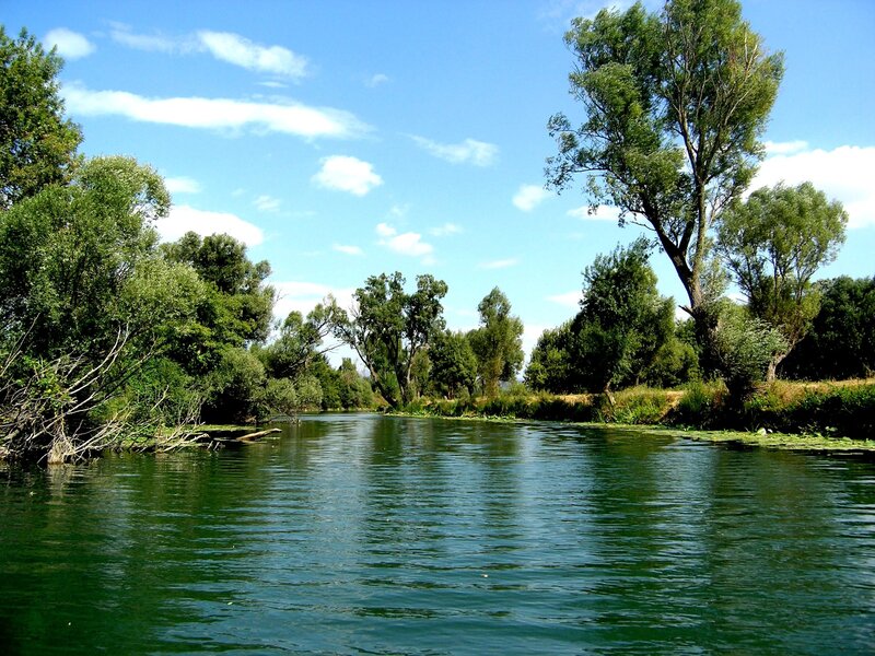 River with Trees — Green, Serene, Afternoon
