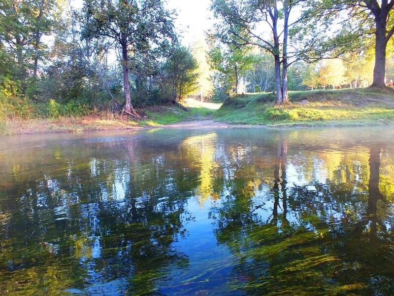 River with Trees — Green, Serene, Morning