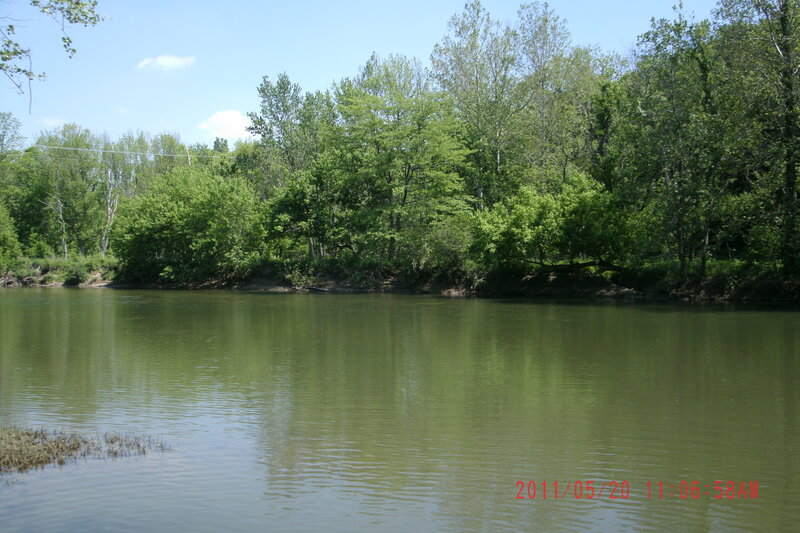 River with Trees — Green, Serene