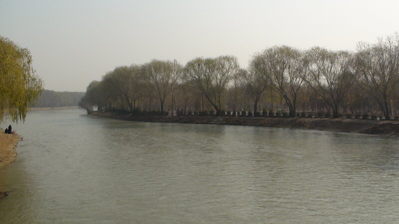River with trees in winter