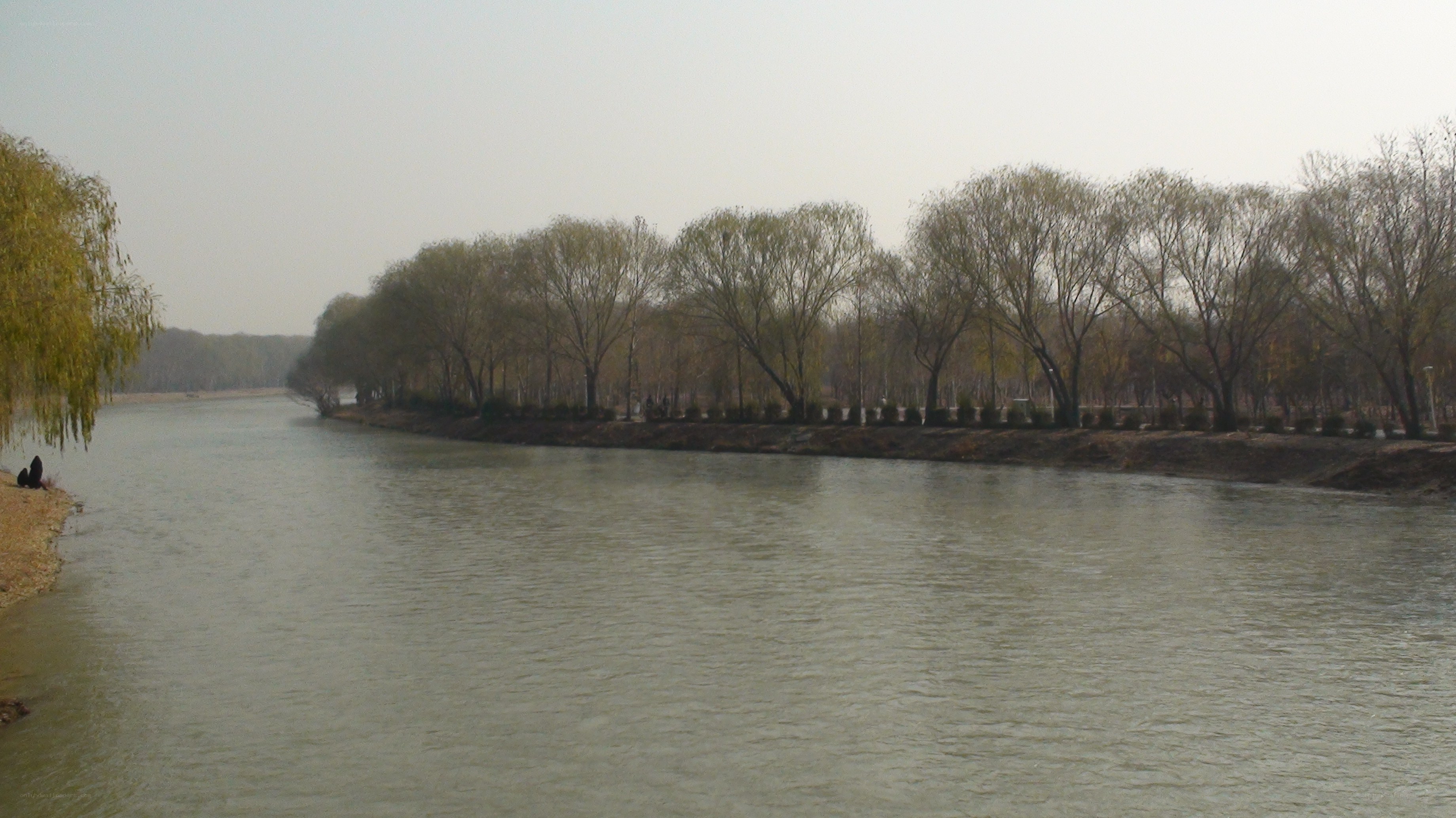 River with trees in winter