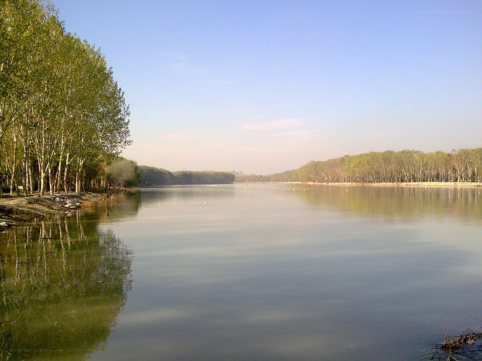 River with trees on banks