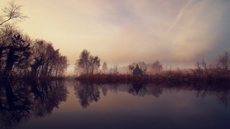 River with Trees — Purple, Serene
