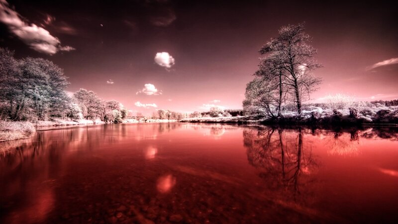 River with Trees — Red, Dramatic