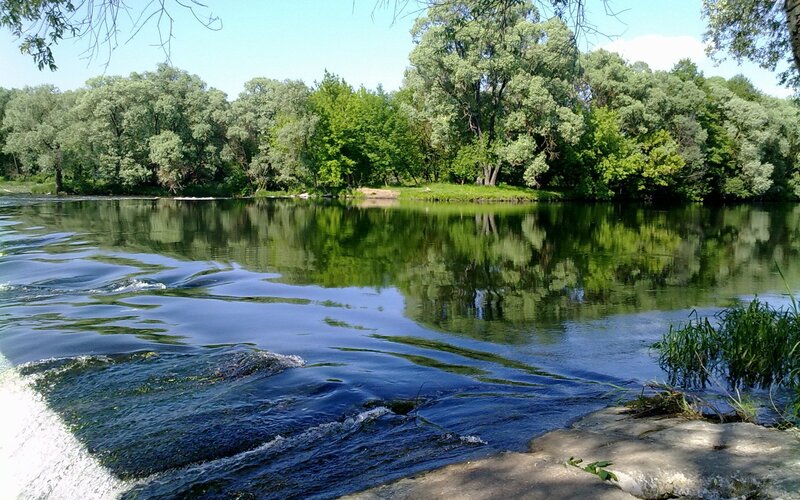 River with trees reflection