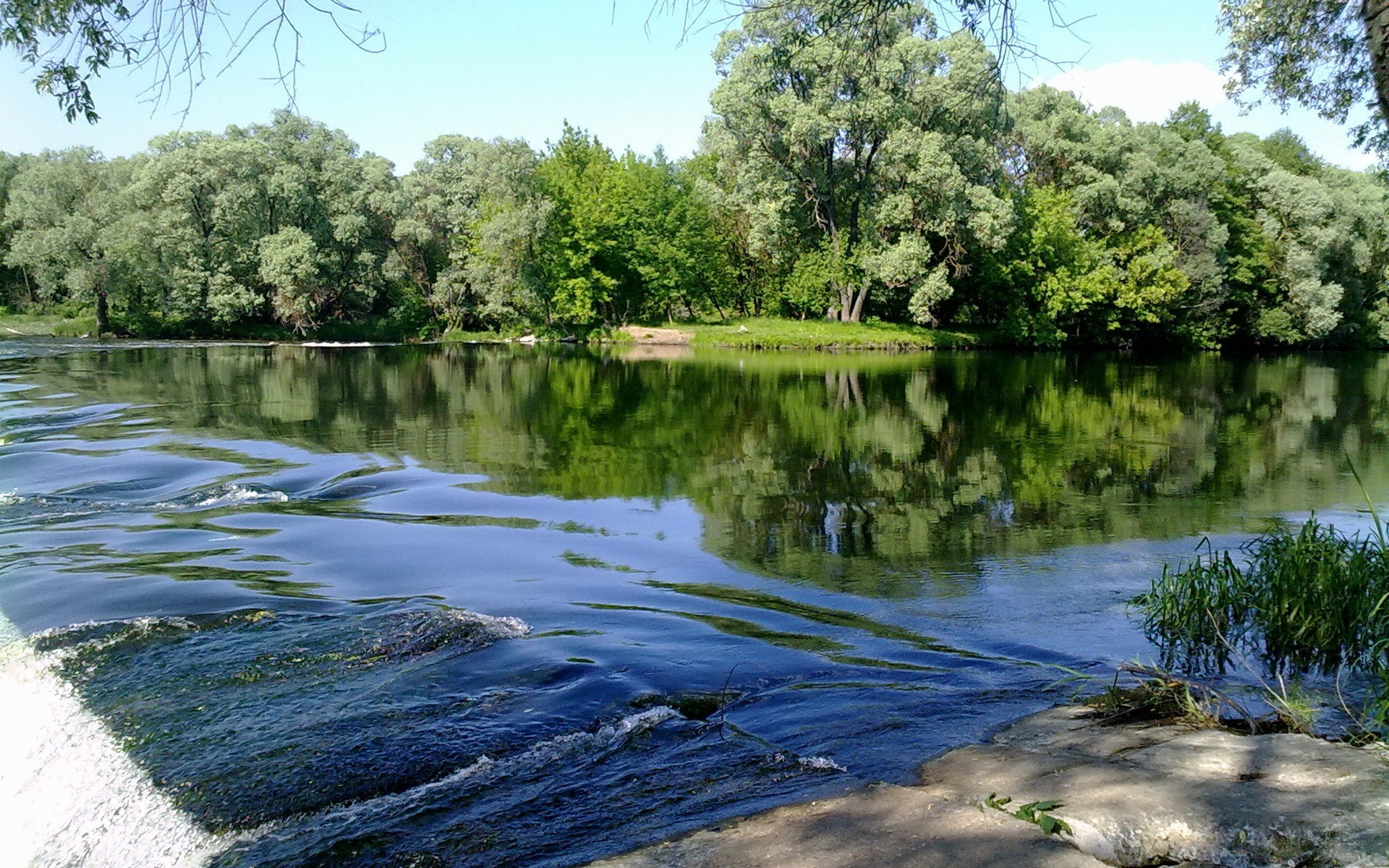 River with trees reflection