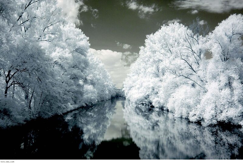 River with Trees — White