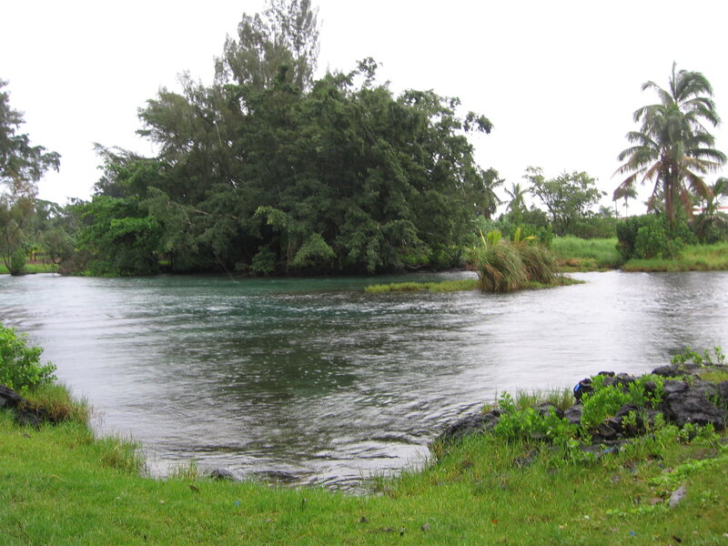 river with tropical vegetation