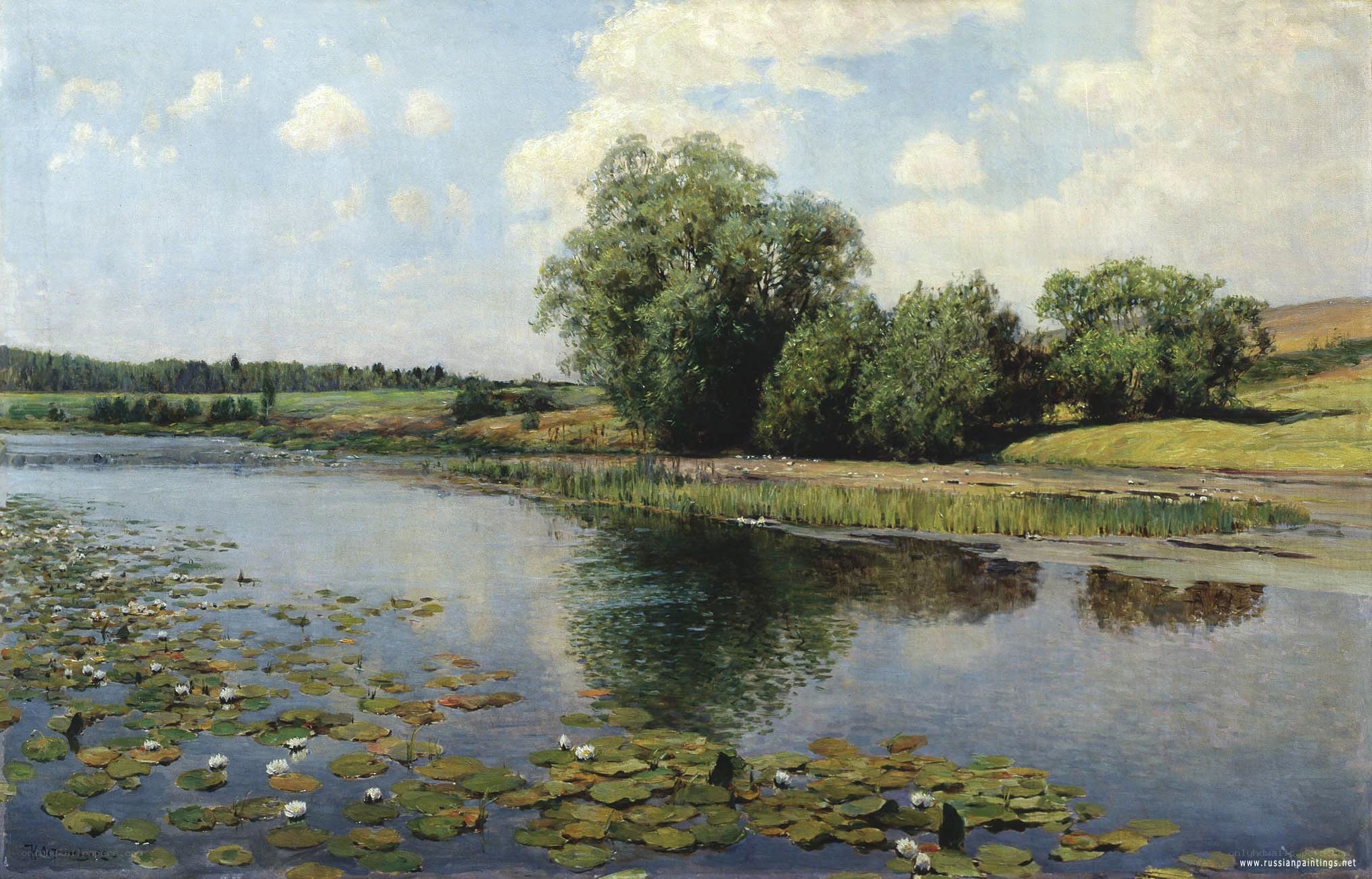River with Water Lilies