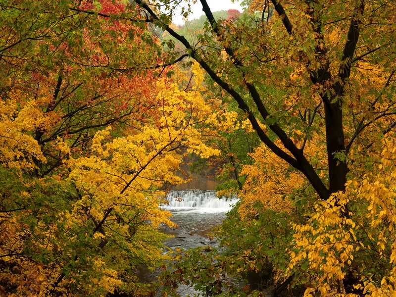 River with Waterfall — Yellow