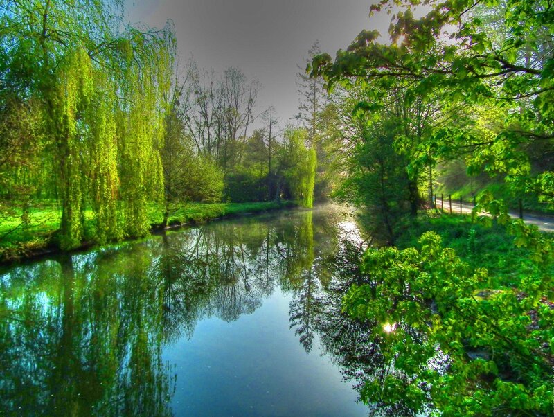 River with Weeping Willow — Green, Serene, Morning