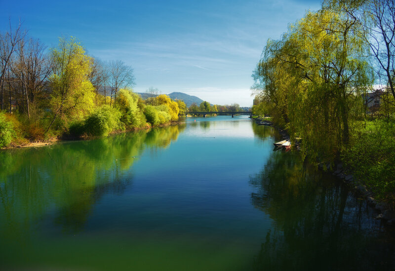 River with Weeping Willow — Green, Serene, Spring, Photograph