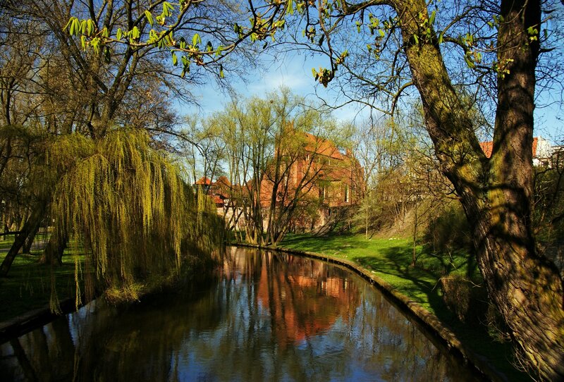 River with Weeping Willow — Green, Serene, Spring