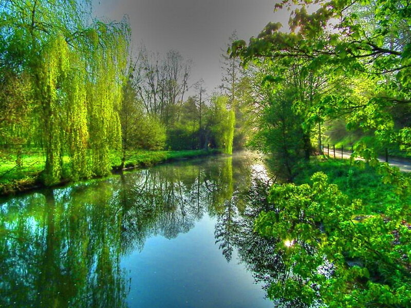 River with Weeping Willow — Green, Serene