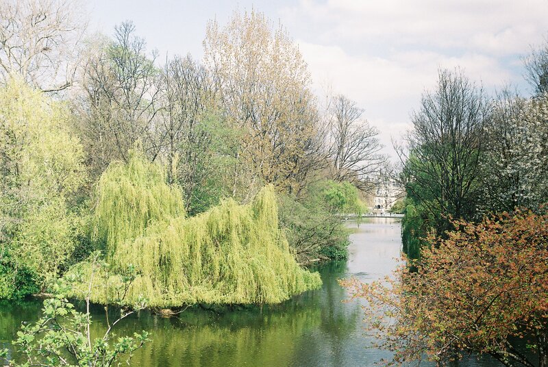 River with Weeping Willow — Green