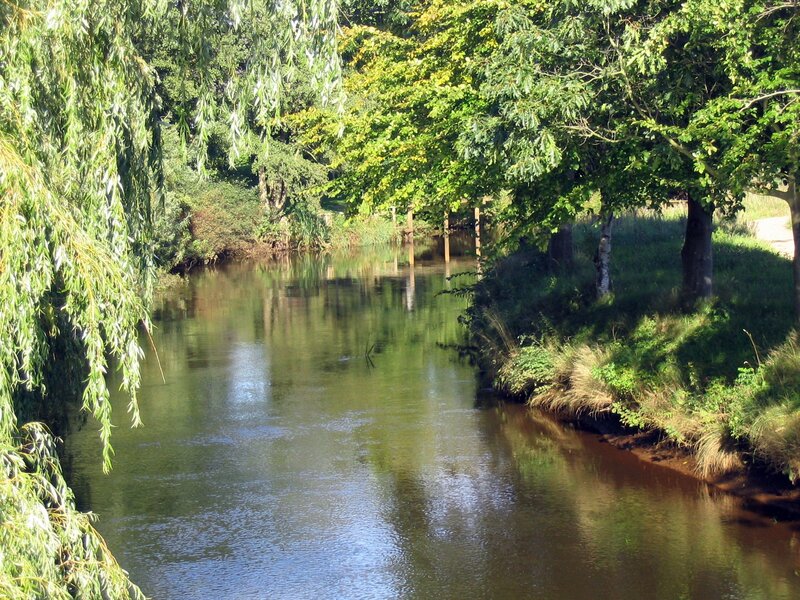 River with weeping willow trees