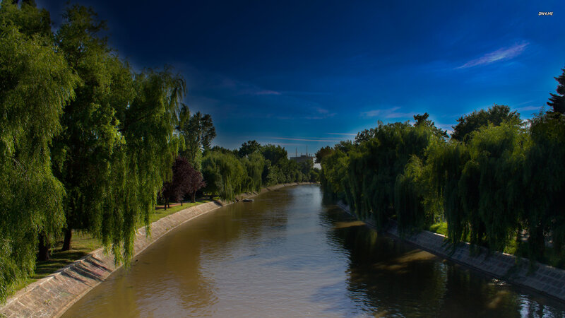 River with Weeping Willows — Blue