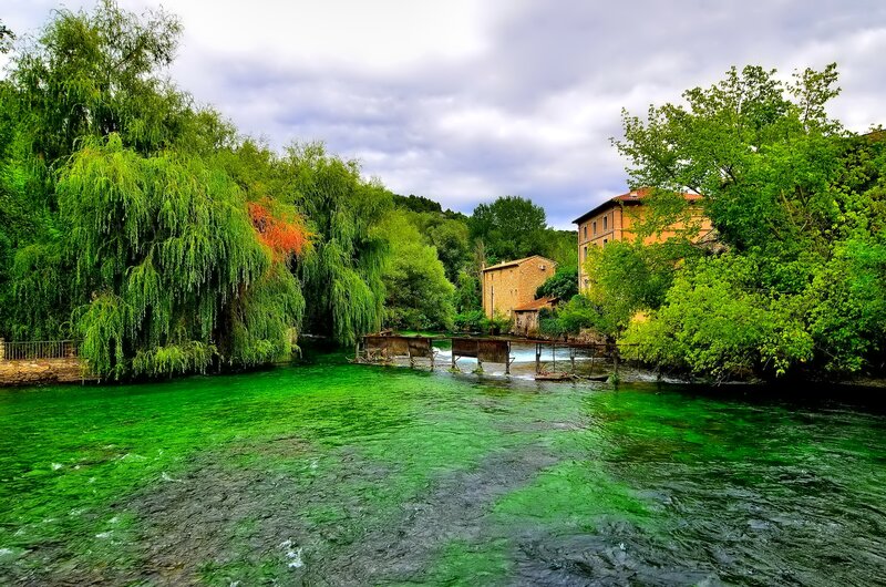 River with Weeping Willows — Green, Serene, Afternoon