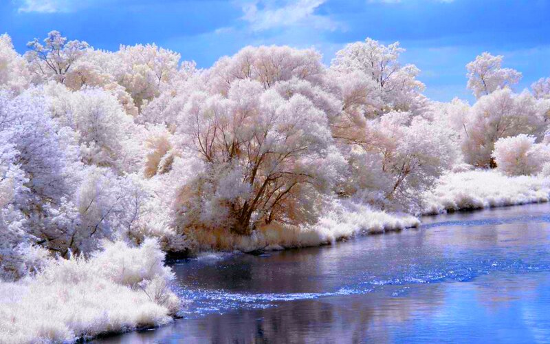River with White Trees