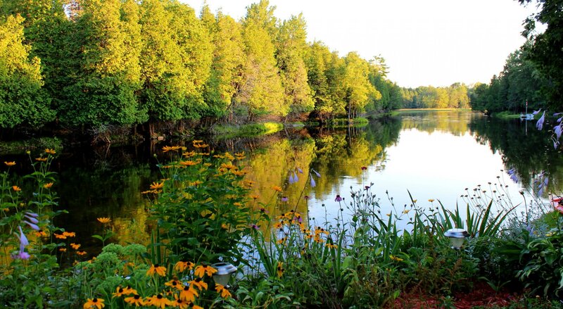 River with Wildflowers — Green, Serene, Afternoon