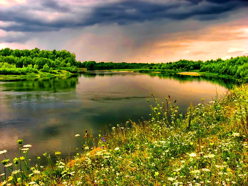 River with Wildflowers — Green